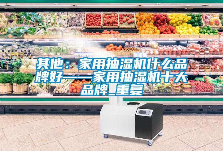 其他：家用抽湿机什么品牌好——家用抽湿机十大品牌_重复