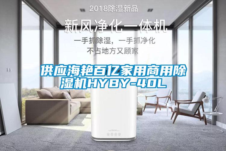 供应海艳百亿家用商用除湿机HYBY-40L