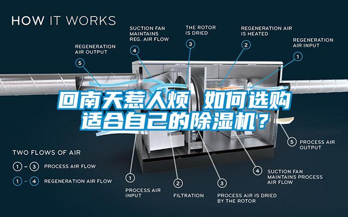 回南天惹人烦 如何选购适合自己的除湿机？