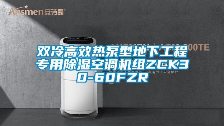 双冷高效热泵型地下工程专用除湿空调机组ZCK30-60FZR