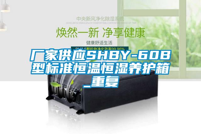 厂家供应SHBY-60B型标准恒温恒湿养护箱_重复