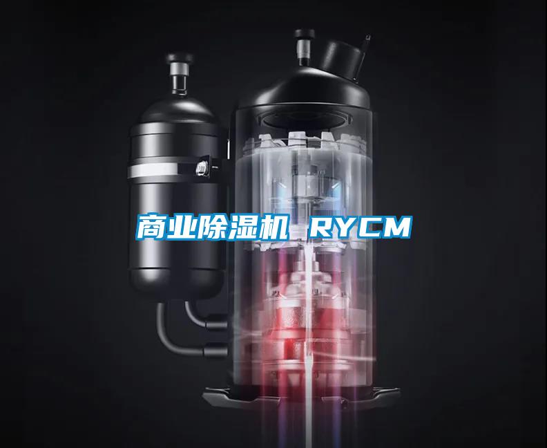 商业除湿机 RYCM