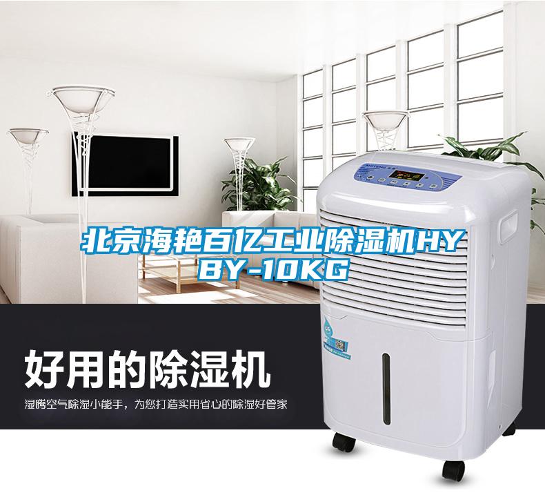 北京海艳百亿工业除湿机HYBY-10KG