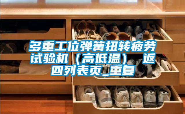 多重工位弹簧扭转疲劳试验机（高低温） 返回列表页_重复