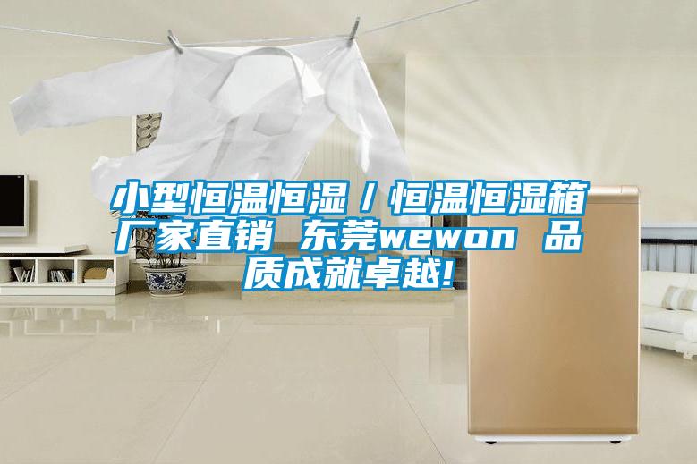 小型恒温恒湿／恒温恒湿箱厂家直销 东莞wewon 品质成就卓越!