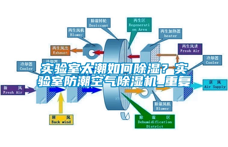 实验室太潮如何除湿？实验室防潮空气除湿机_重复