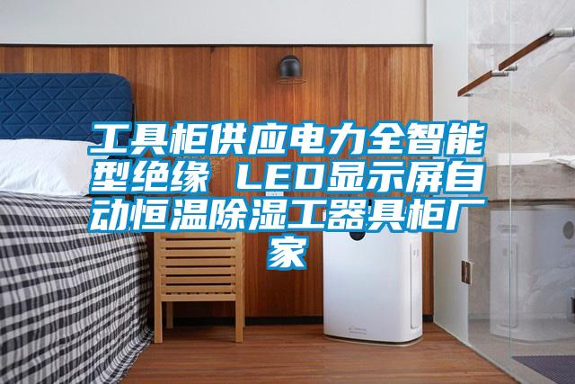 工具柜供应电力全智能型绝缘 LED显示屏自动恒温除湿工器具柜厂家