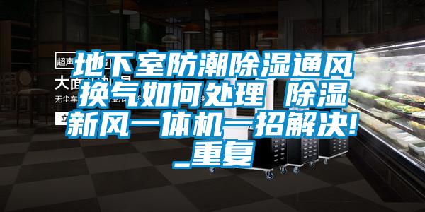 地下室防潮除湿通风换气如何处理 除湿新风一体机一招解决!_重复