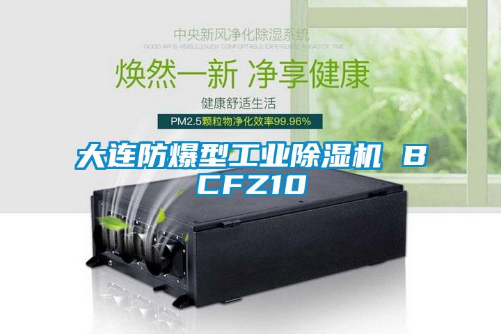 大连防爆型工业除湿机 BCFZ10