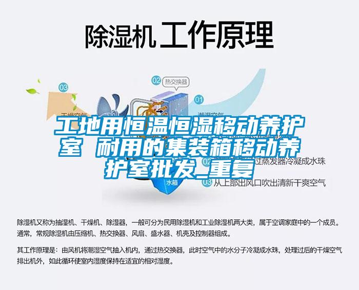 工地用恒温恒湿移动养护室 耐用的集装箱移动养护室批发_重复