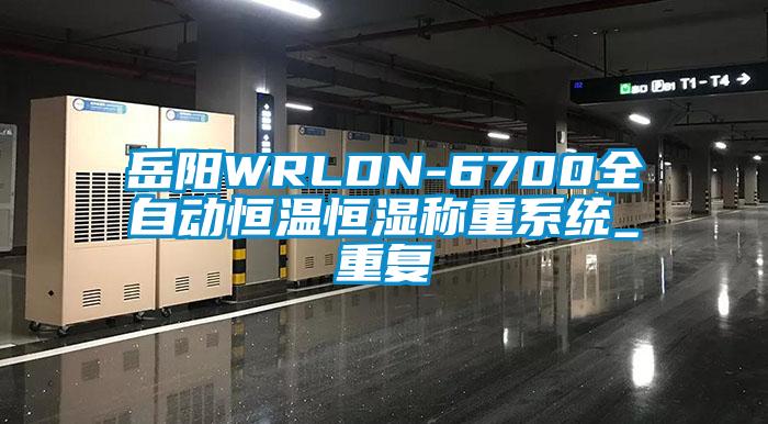 岳阳WRLDN-6700全自动恒温恒湿称重系统_重复