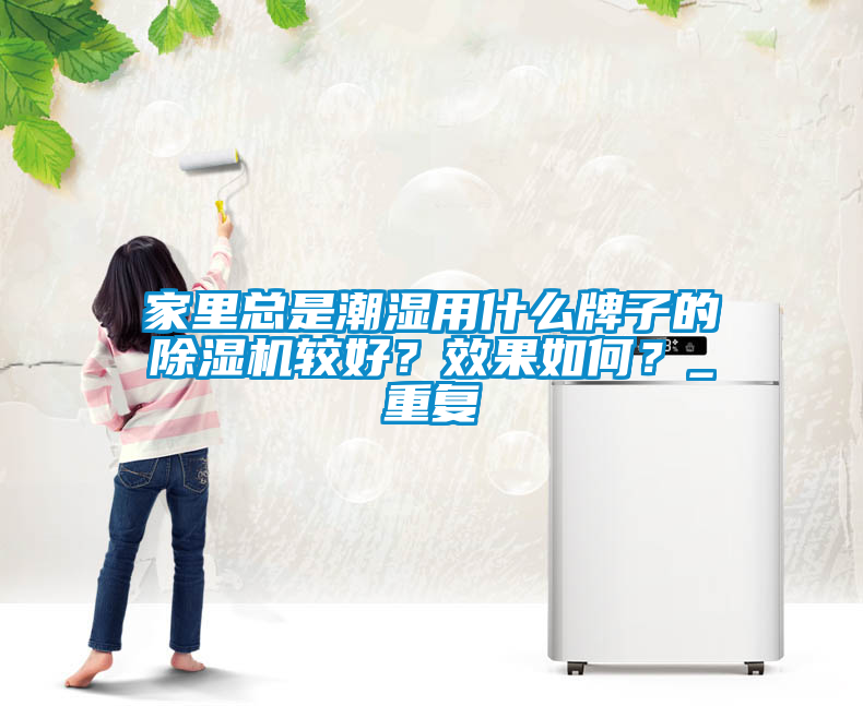 家里总是潮湿用什么牌子的除湿机较好？效果如何？_重复