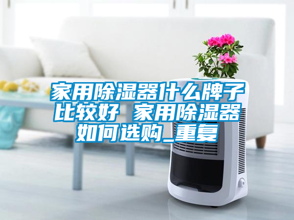 家用除湿器什么牌子比较好 家用除湿器如何选购_重复