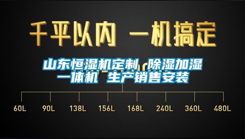 山东恒湿机定制 除湿加湿一体机 生产销售安装