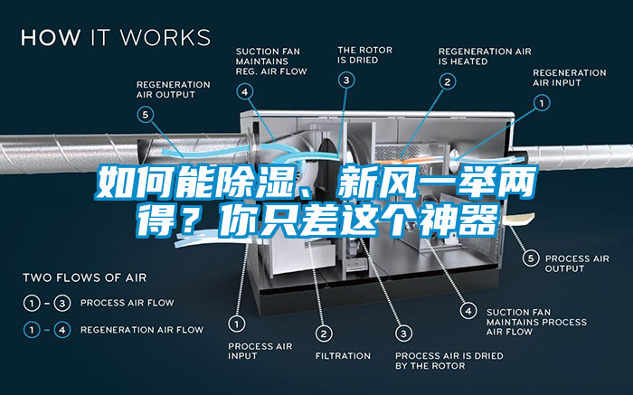 如何能除湿、新风一举两得？你只差这个神器