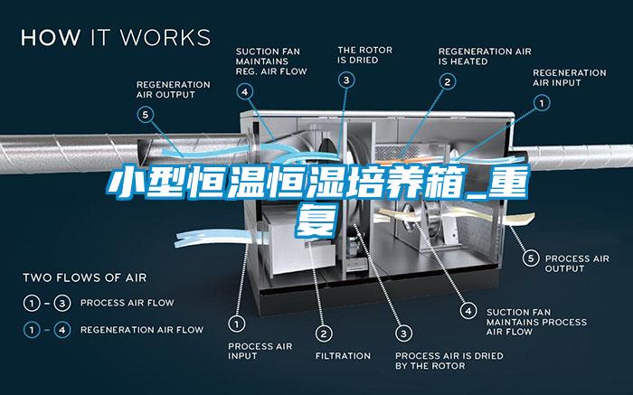 小型恒温恒湿培养箱_重复