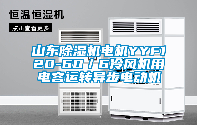 山东除湿机电机YYF120-60／6冷风机用电容运转异步电动机