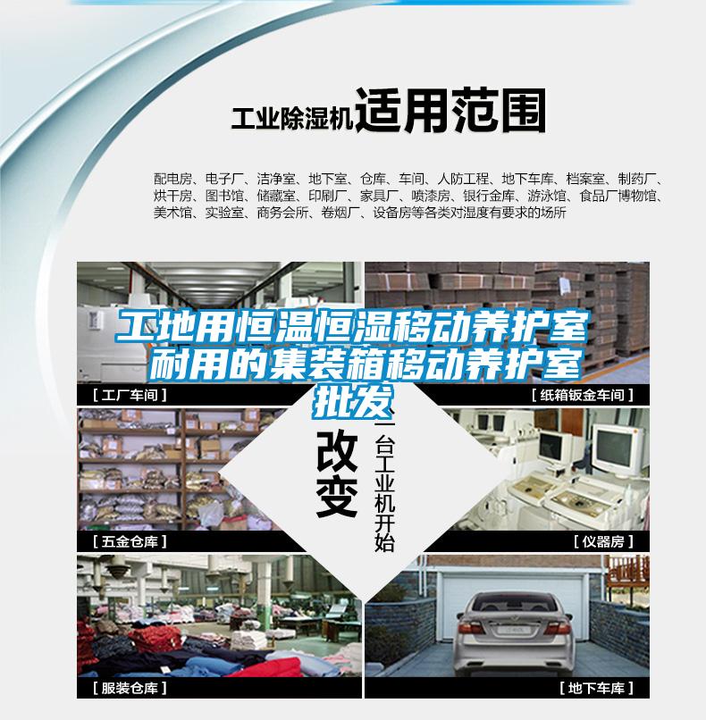 工地用恒温恒湿移动养护室 耐用的集装箱移动养护室批发