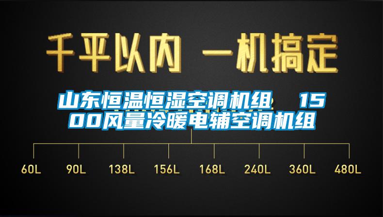 山东恒温恒湿空调机组  1500风量冷暖电辅空调机组