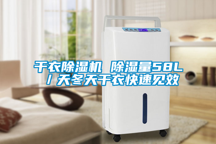 干衣除湿机 除湿量58L／天冬天干衣快速见效