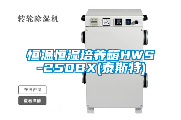 恒温恒湿培养箱HWS-250BX(泰斯特)