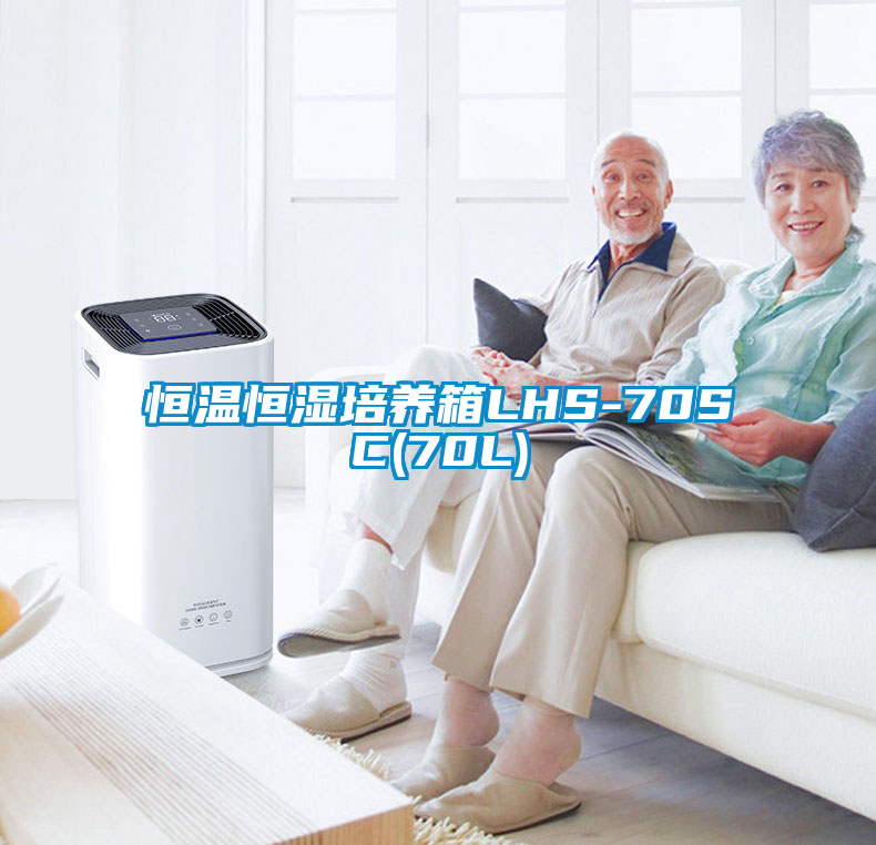 恒温恒湿培养箱LHS-70SC(70L)