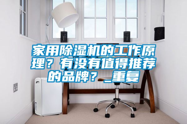 家用除湿机的工作原理？有没有值得推荐的品牌？_重复