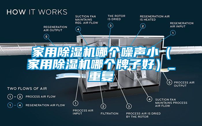 家用除湿机哪个噪声小（家用除湿机哪个牌子好）_重复