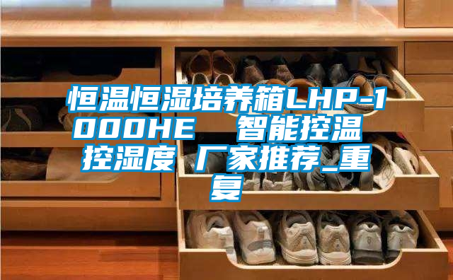 恒温恒湿培养箱LHP-1000HE  智能控温 控湿度 厂家推荐_重复