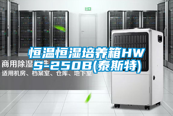 恒温恒湿培养箱HWS-250B(泰斯特)