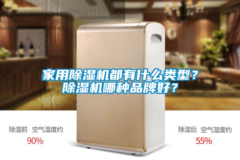 家用除湿机都有什么类型？除湿机哪种品牌好？