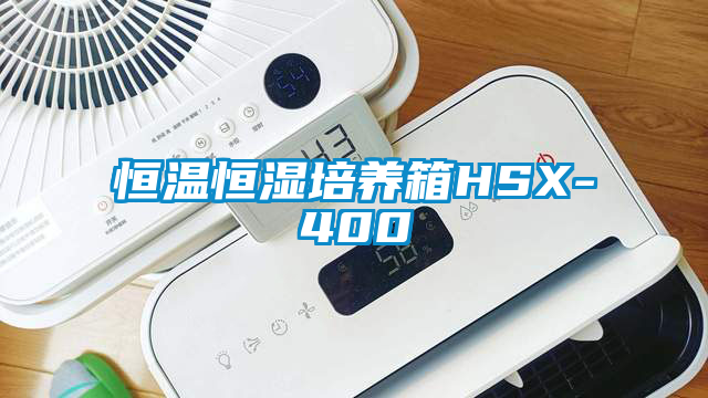 恒温恒湿培养箱HSX-400