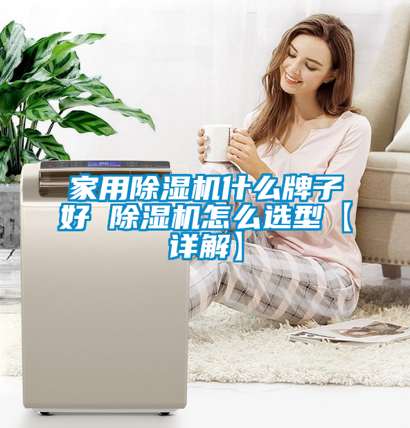 家用除湿机什么牌子好 除湿机怎么选型【详解】