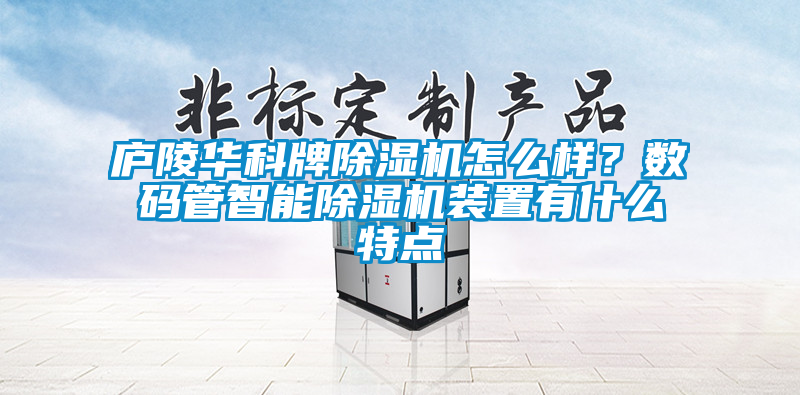 庐陵华科牌除湿机怎么样？数码管智能除湿机装置有什么特点