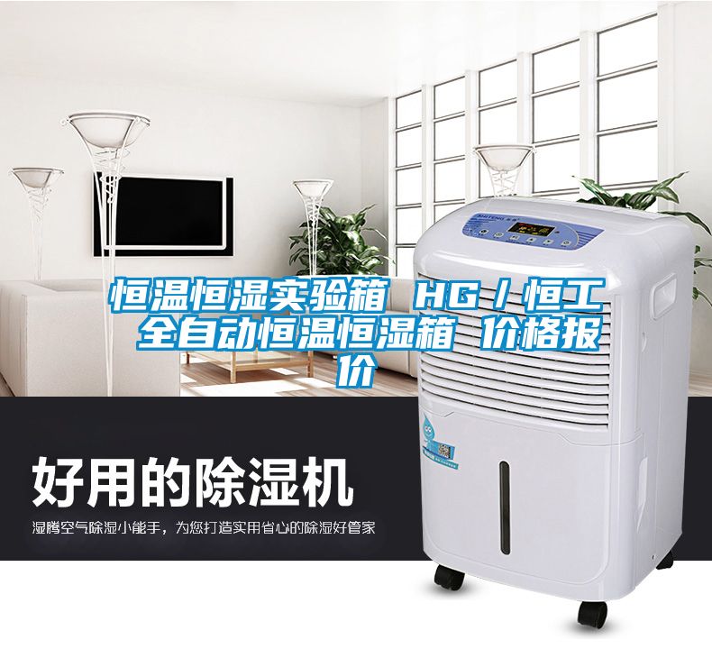 恒温恒湿实验箱 HG／恒工 全自动恒温恒湿箱 价格报价