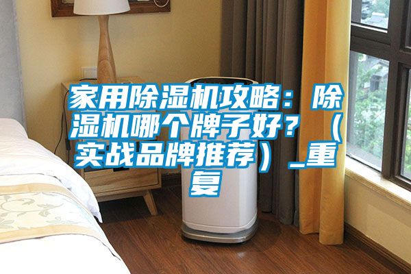 家用除湿机攻略：除湿机哪个牌子好？（实战品牌推荐）_重复