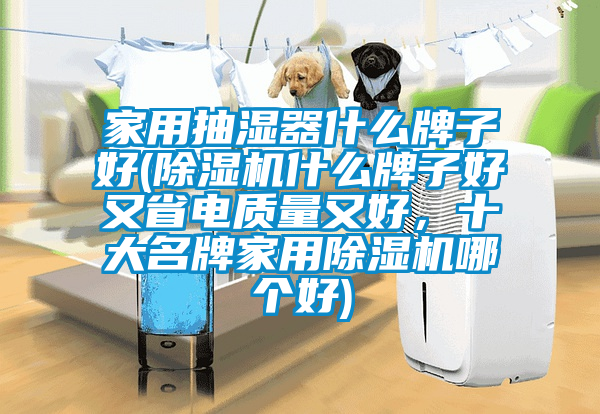 家用抽湿器什么牌子好(除湿机什么牌子好又省电质量又好，十大名牌家用除湿机哪个好)