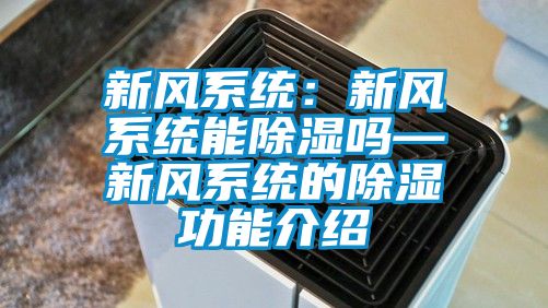 新风系统：新风系统能除湿吗—新风系统的除湿功能介绍