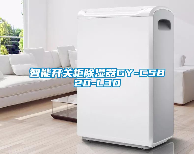 智能开关柜除湿器GY-CS820-L30