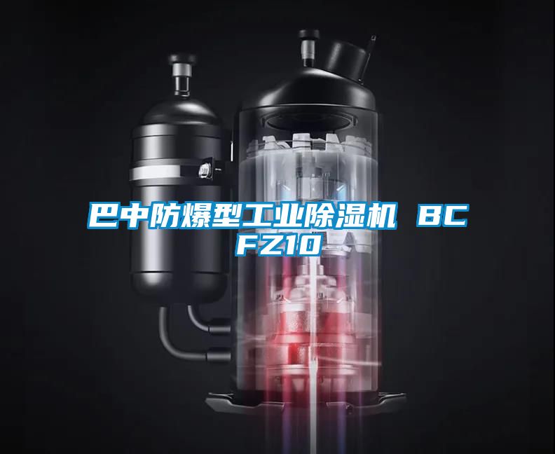 巴中防爆型工业除湿机 BCFZ10