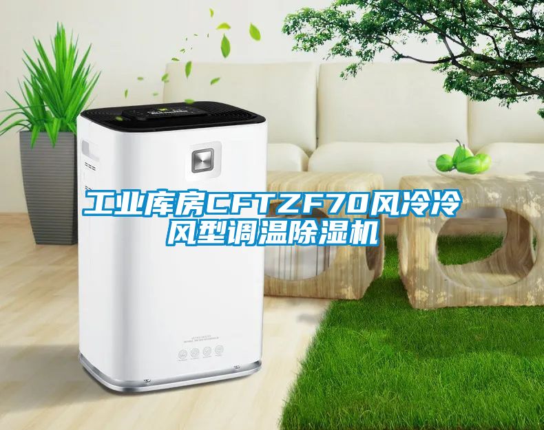 工业库房CFTZF70风冷冷风型调温除湿机