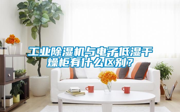 工业除湿机与电子低湿干燥柜有什么区别？