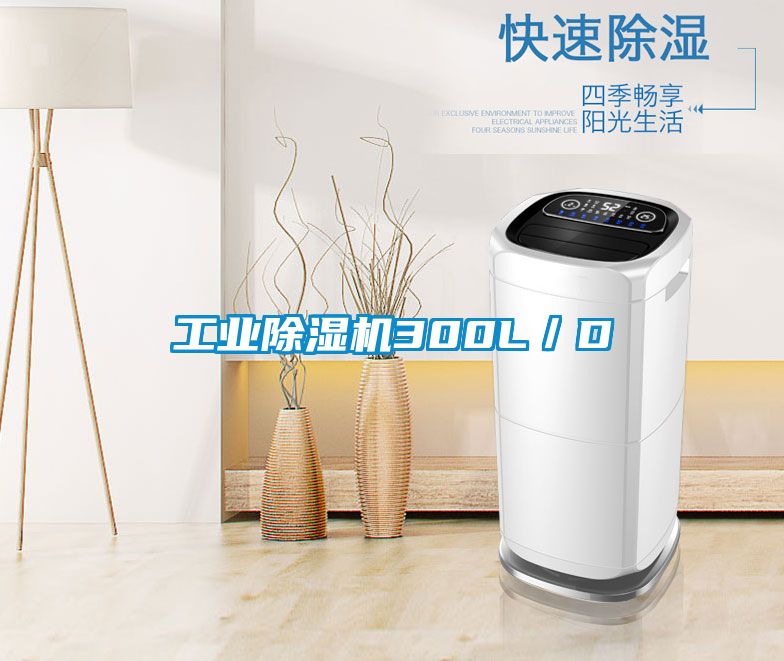 工业除湿机300L／D