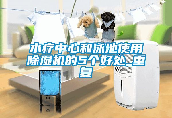 水疗中心和泳池使用除湿机的5个好处_重复