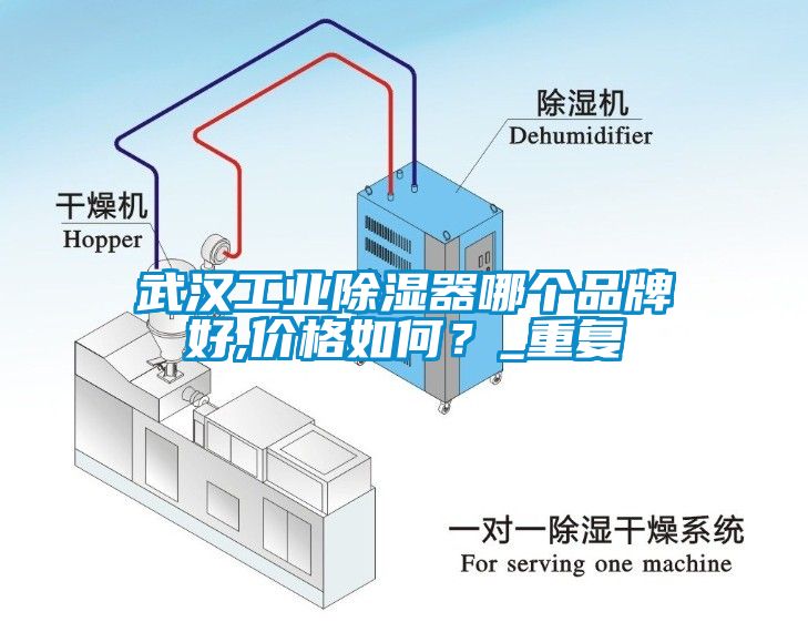 武汉工业除湿器哪个品牌好,价格如何？_重复