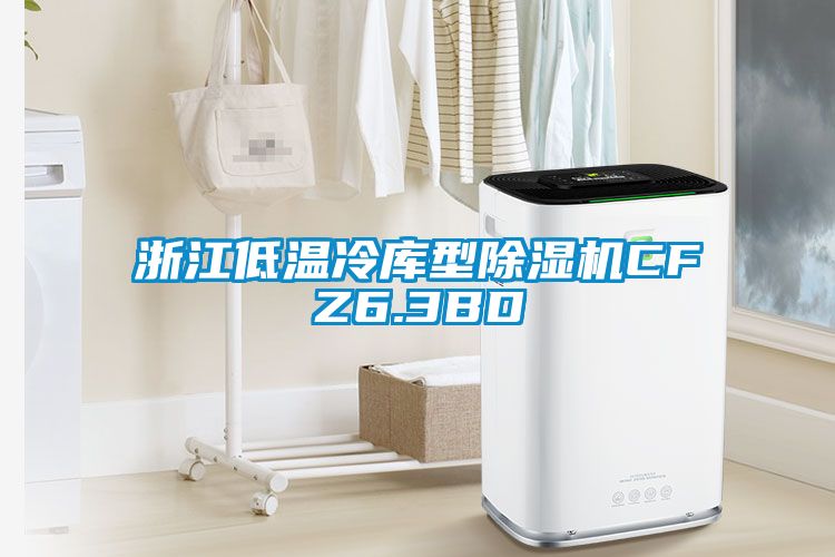 浙江低温冷库型除湿机CFZ6.3BD