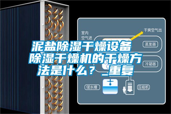 泥盐除湿干燥设备 除湿干燥机的干燥方法是什么？_重复