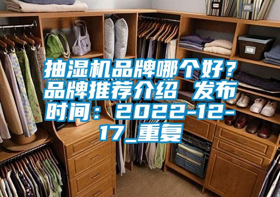 抽湿机品牌哪个好？品牌推荐介绍 发布时间：2022-12-17_重复