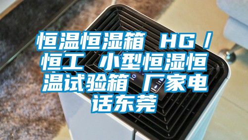 恒温恒湿箱 HG／恒工 小型恒湿恒温试验箱 厂家电话东莞