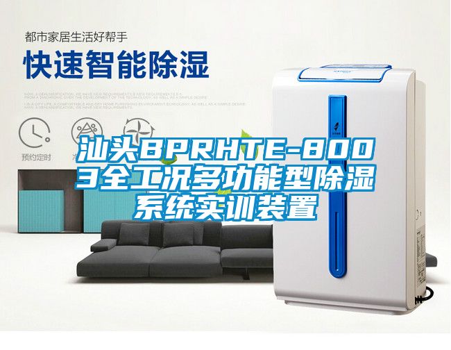 汕头BPRHTE-8003全工况多功能型除湿系统实训装置